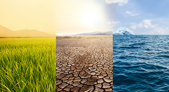 Climate Scenario Analysis